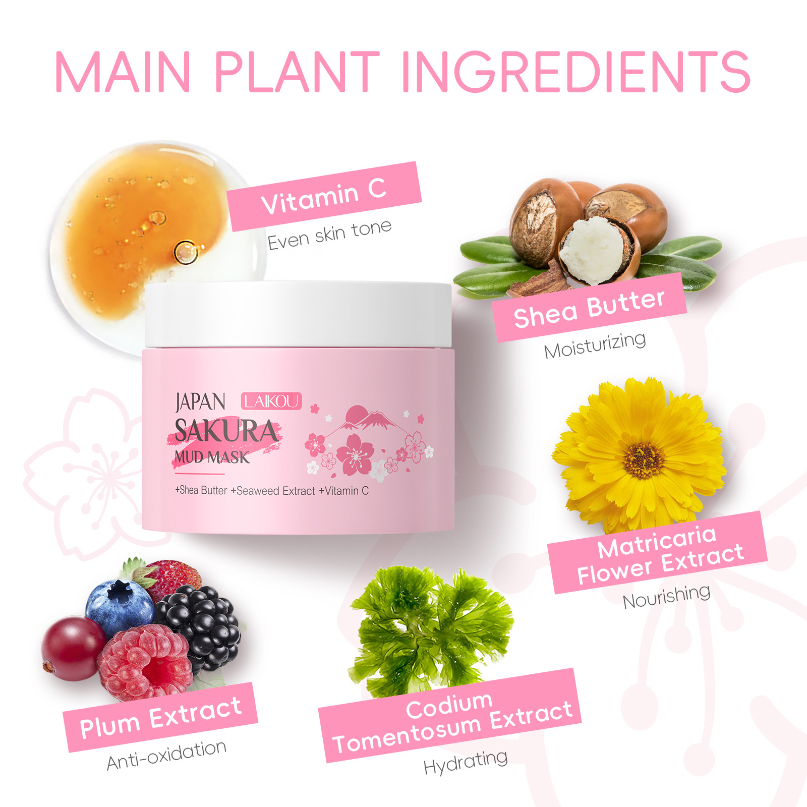 LAIKOU Sakura Clay Mask 25g 90 - Dust Mask Construction 리뷰 및 가격