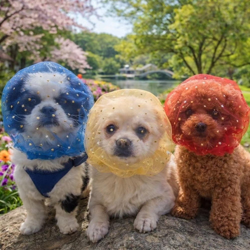 Breathable Dog Anti-Eating Vei - Mask Lanyard Adjustable 리뷰 및 가격